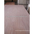 lowest price UAE market commercial plywood board